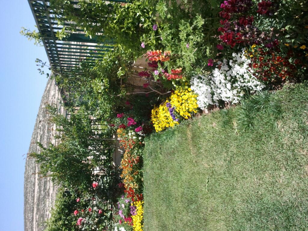 גן ונוי גן ונוי