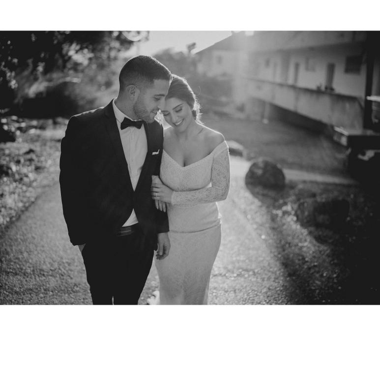 אלדד צלמים אלדד צלמים