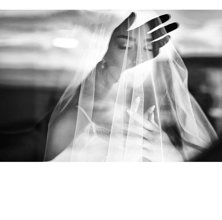 אלדד צלמים אלדד צלמים