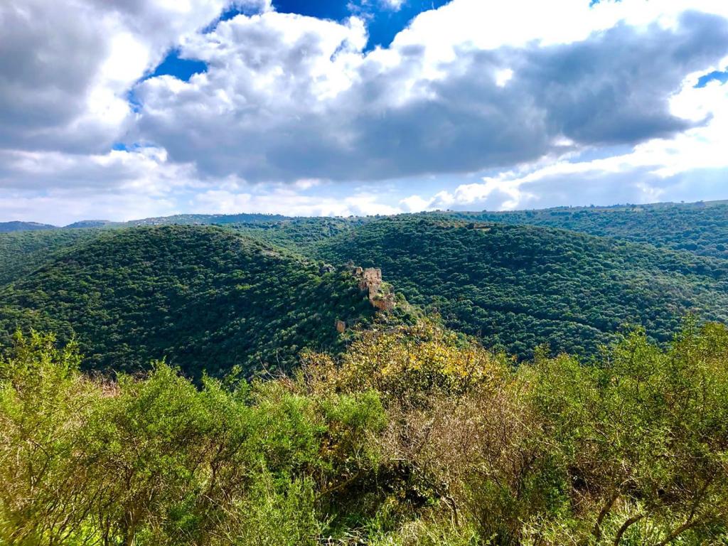 מארק אפ מארק אפ