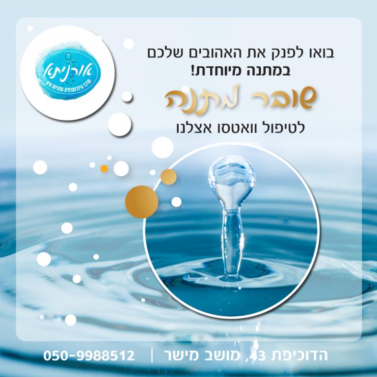 שגב מדיה שגב מדיה