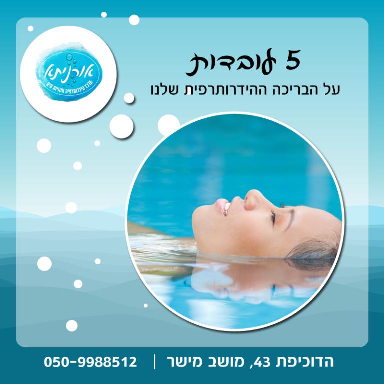 שגב מדיה שגב מדיה