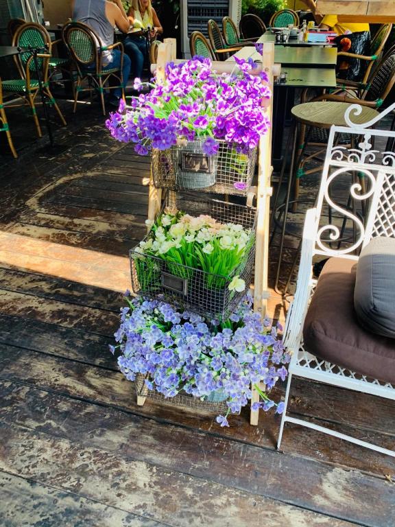 קפה זליק קפה זליק