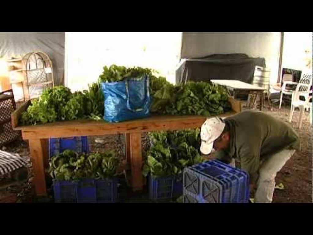 משק הר פרחים משק הר פרחים