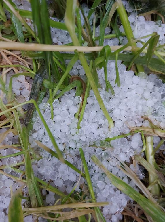 משק הר פרחים משק הר פרחים