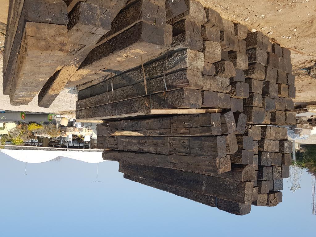 משתלת יהלי משתלת יהלי