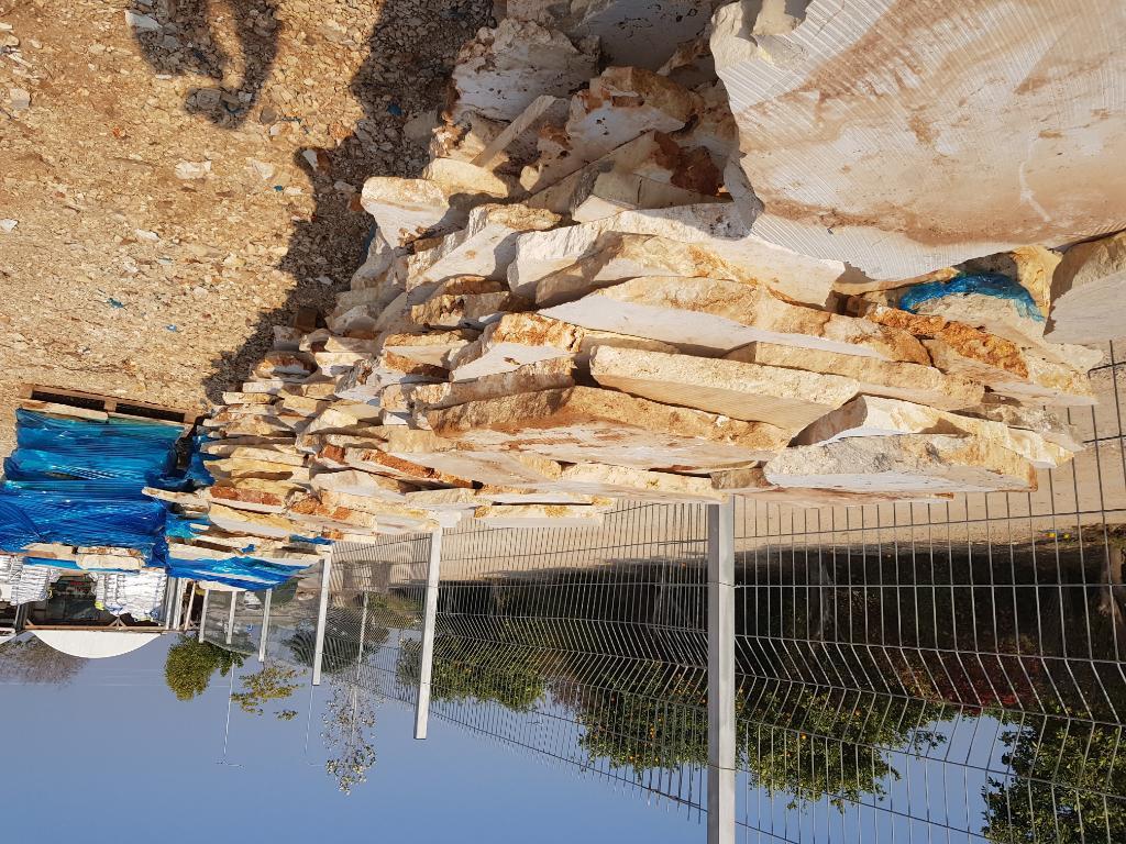 משתלת יהלי משתלת יהלי