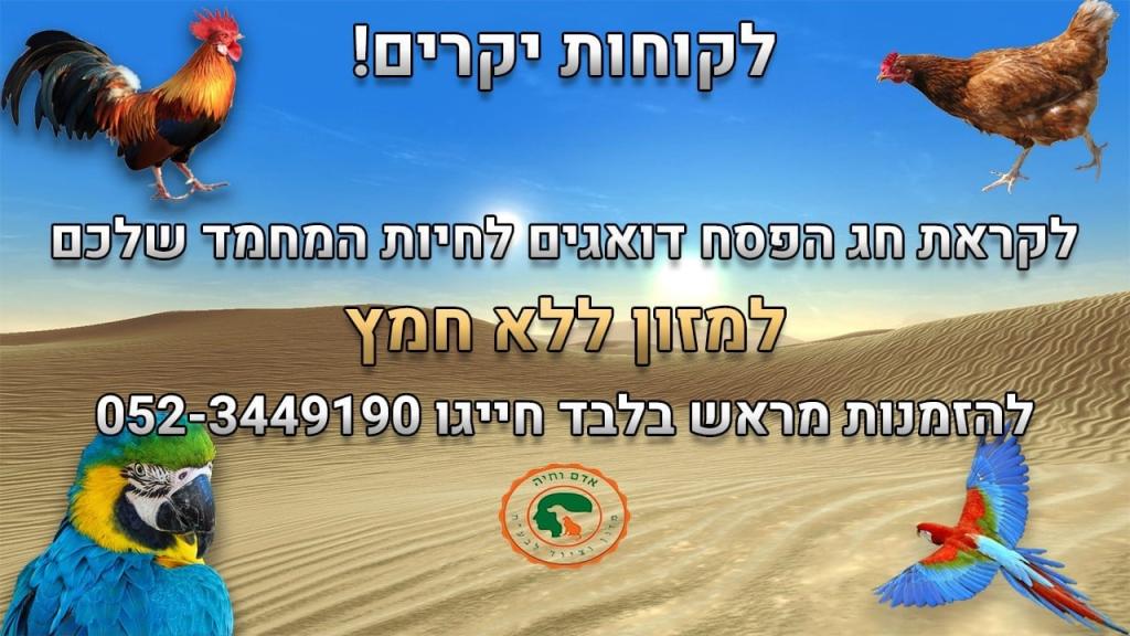 אדם וחיה אדם וחיה