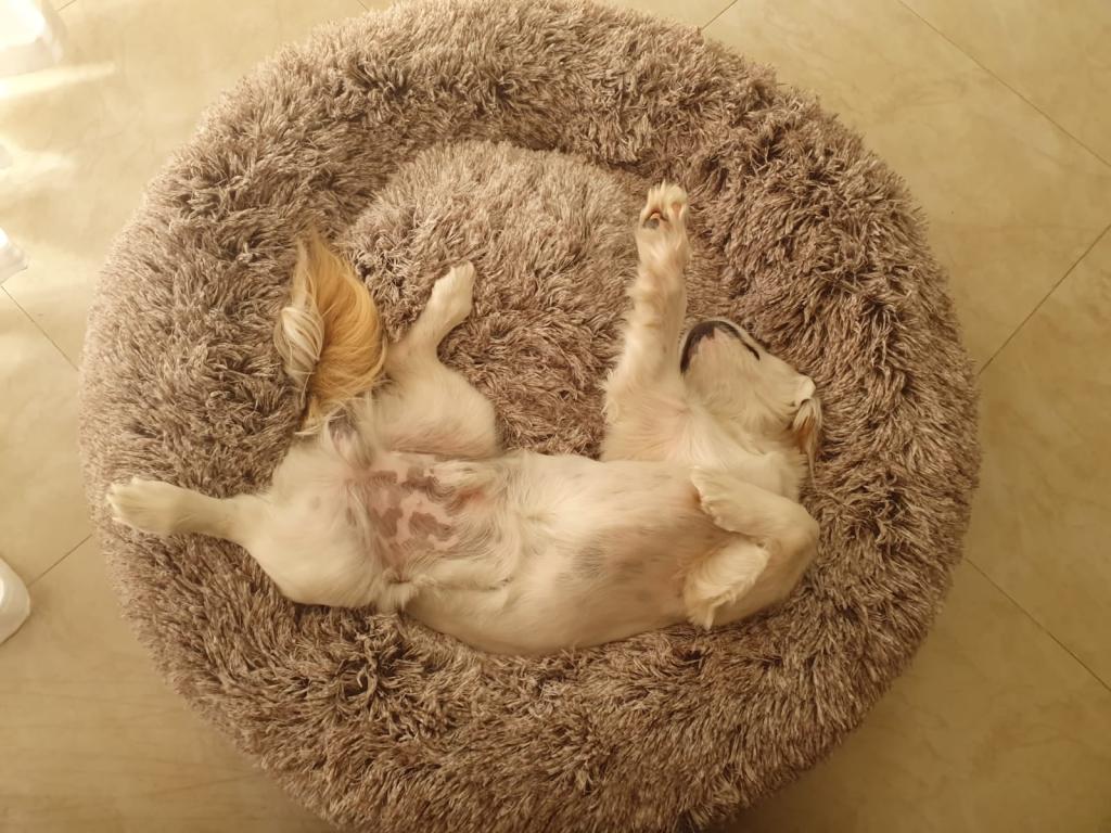 אדם וחיה אדם וחיה