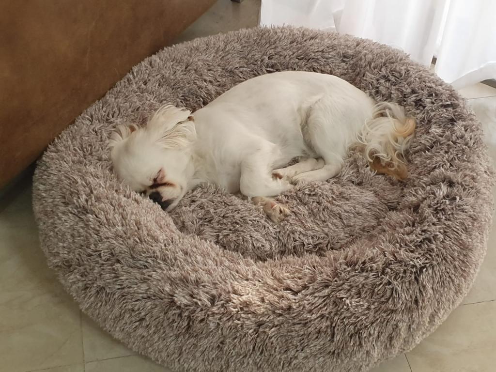 אדם וחיה אדם וחיה