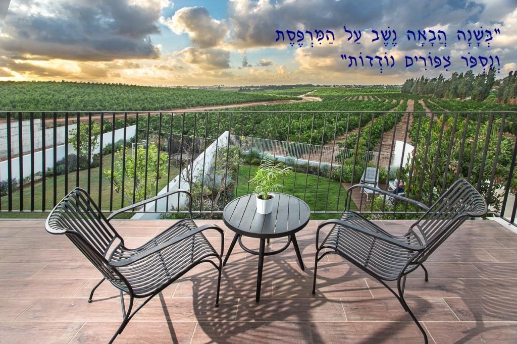 עופר קפלן עופר קפלן