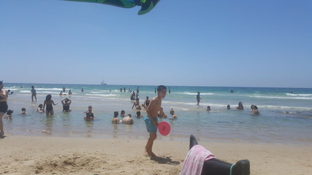 אלמוג חקירות אלמוג חקירות