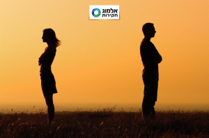 אלמוג חקירות