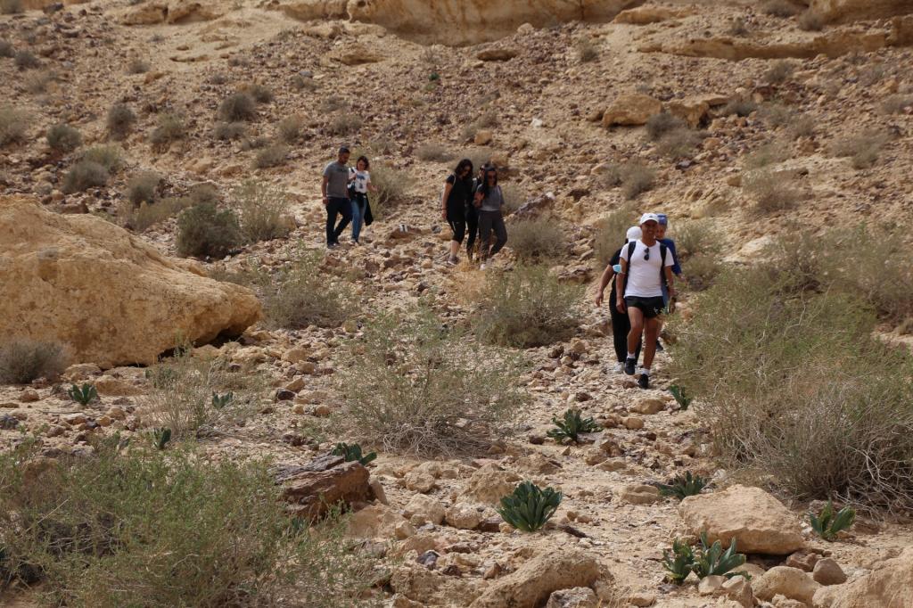 תמיר יחיא תמיר יחיא