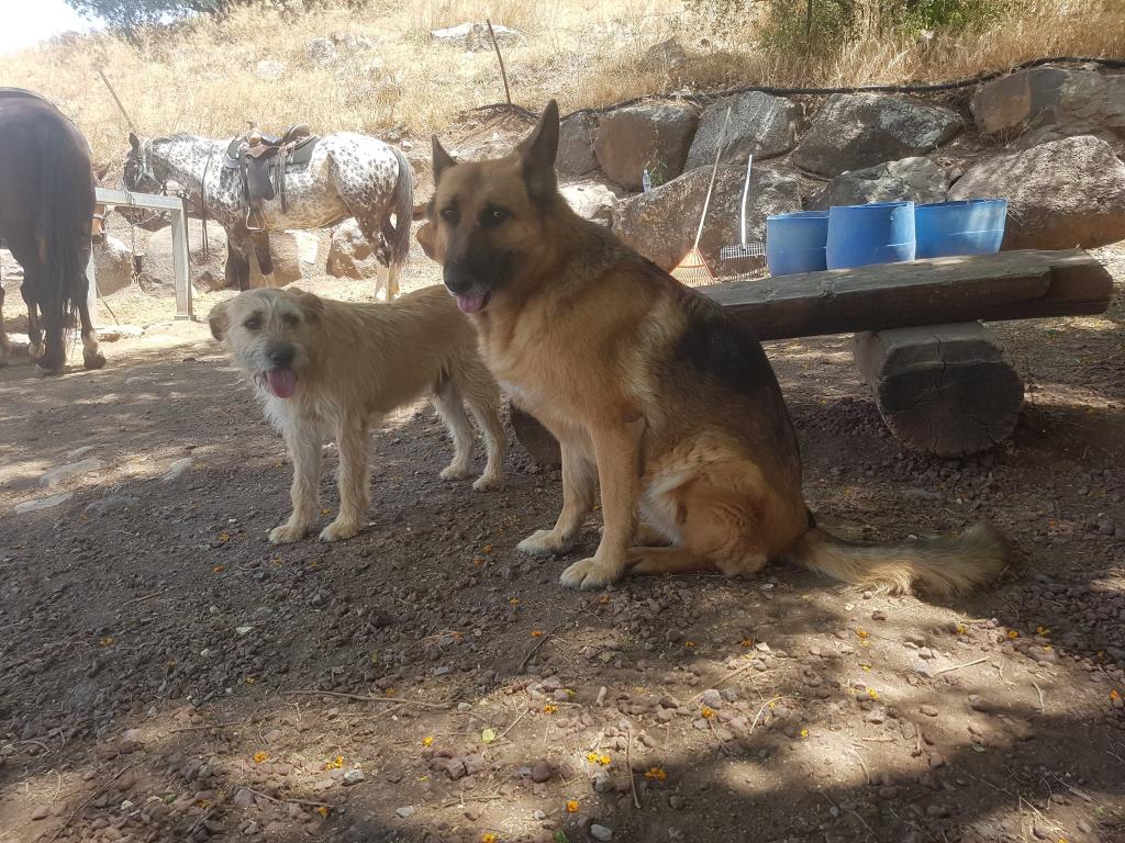 אליעד שרגא ושות' עורכי דין אליעד שרגא ושות' עורכי דין