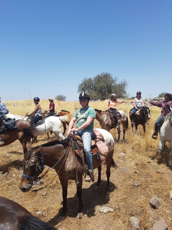 אליעד שרגא ושות' עורכי דין אליעד שרגא ושות' עורכי דין
