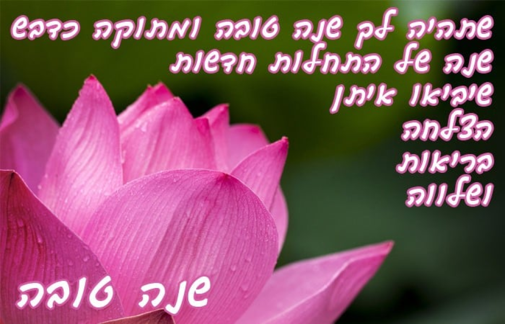 חיה בר שילוח בינלאומי חיה בר שילוח בינלאומי