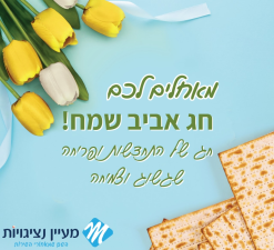 מעיין נציגויות