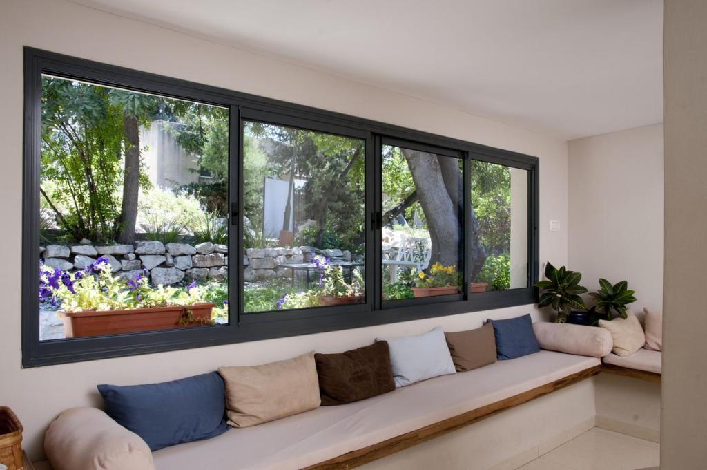 גיא אדניה גיא אדניה