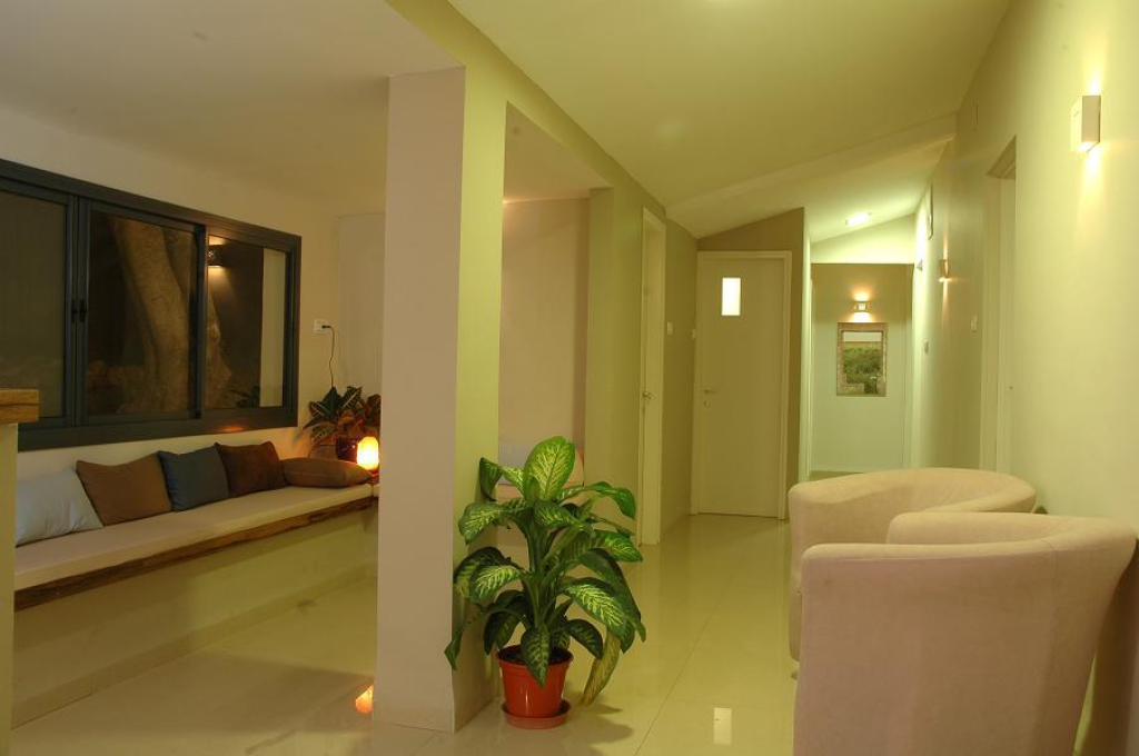 גיא אדניה גיא אדניה