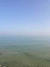 מירב לשם רפואה סינית