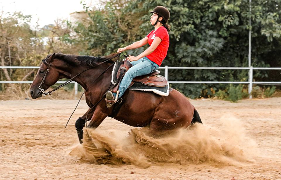 חוות משה חוות משה