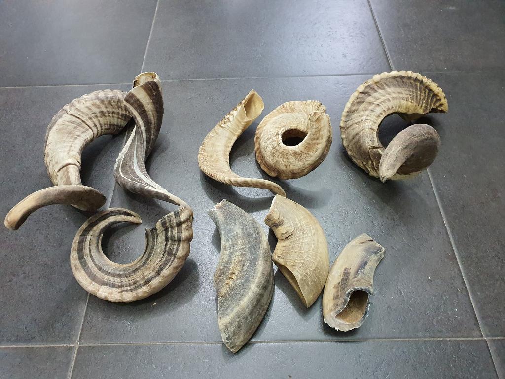 עצם העניין עצם העניין