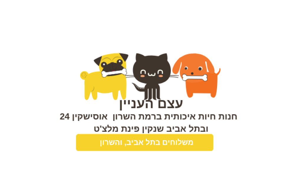 עצם העניין עצם העניין