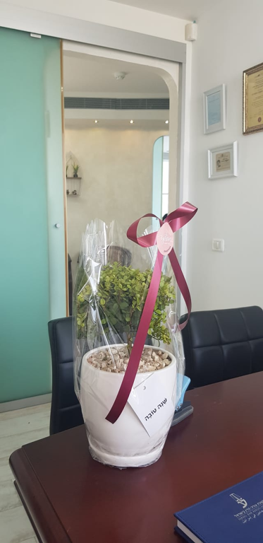 ביטון דוד ביטון דוד