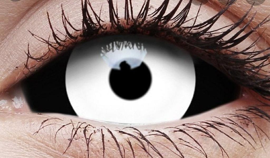 פריק שואו פריק שואו