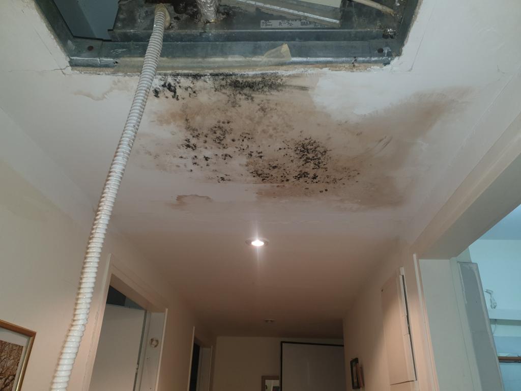 אב מיזוג אב מיזוג