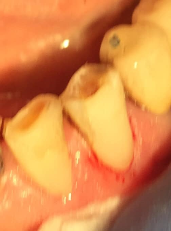 ד"ר לרבה יוסף ד"ר לרבה יוסף