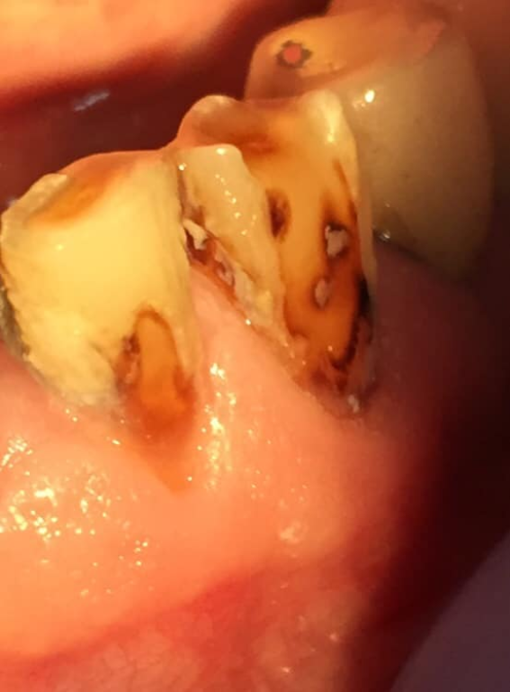 ד"ר לרבה יוסף ד"ר לרבה יוסף