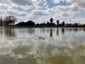 פארק מנחם בגין