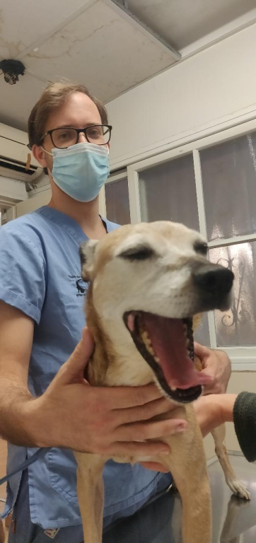 המרכז הוטרינרי רעננה המרכז הוטרינרי רעננה