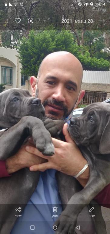 המרכז הוטרינרי רעננה המרכז הוטרינרי רעננה