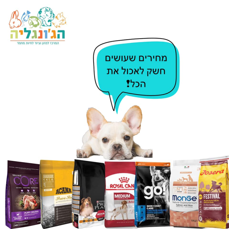 הג'ונגליה הג'ונגליה