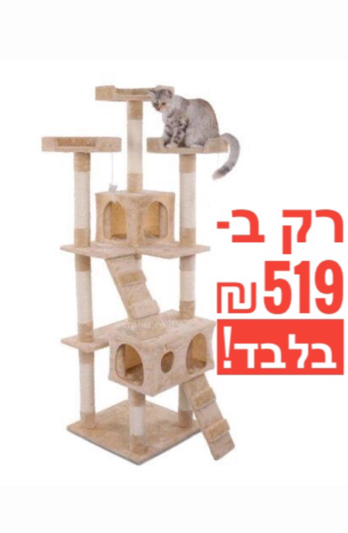 הג'ונגליה הג'ונגליה