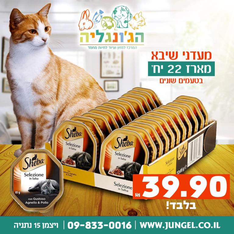 הג'ונגליה הג'ונגליה