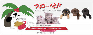 יוגי בר