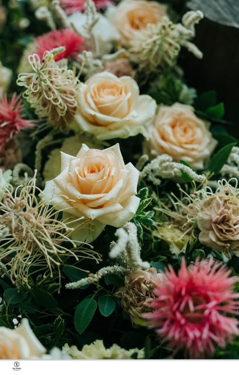 ביולו קים ביולו קים