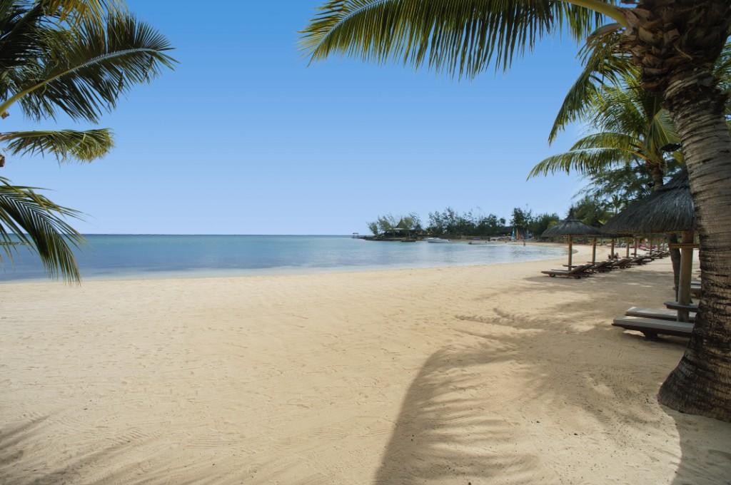 אופיר ושות' אופיר ושות'