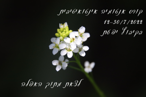 תטא הילינג עם נגה בן ישראל