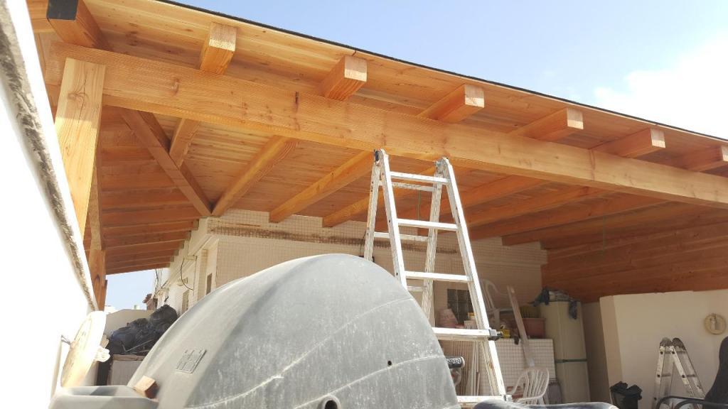 קסם העץ קסם העץ