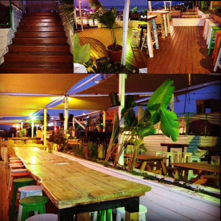 קסם העץ קסם העץ