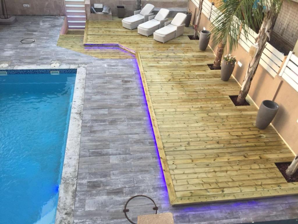 קסם העץ קסם העץ