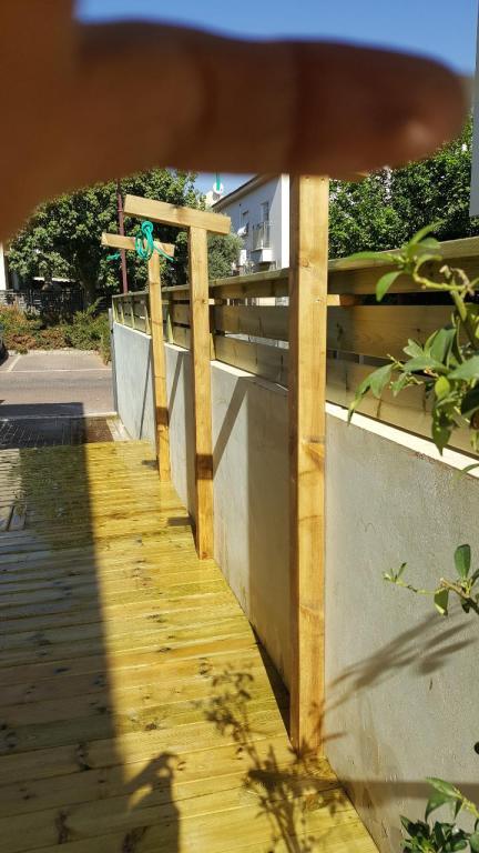 קסם העץ קסם העץ