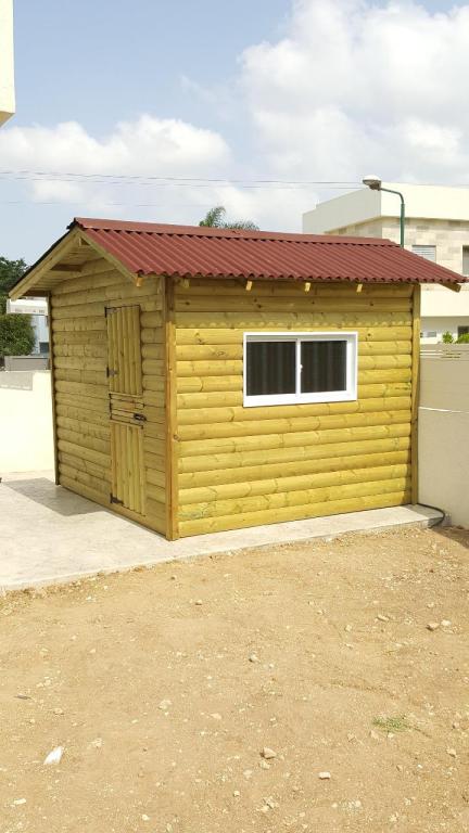 קסם העץ קסם העץ