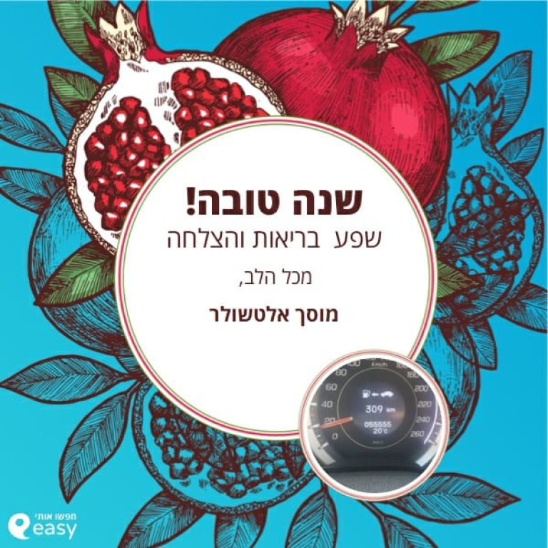 מוסך אלטשולר מוסך אלטשולר