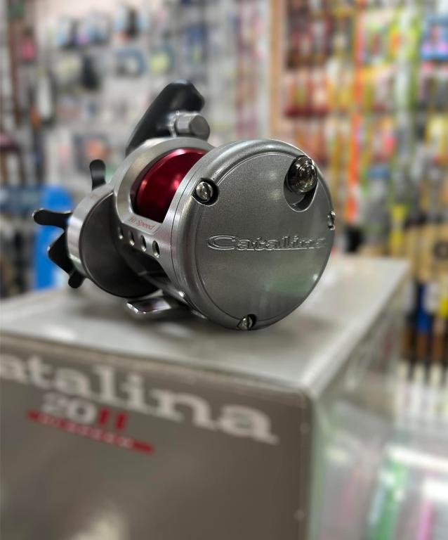 דג אונליין דג אונליין